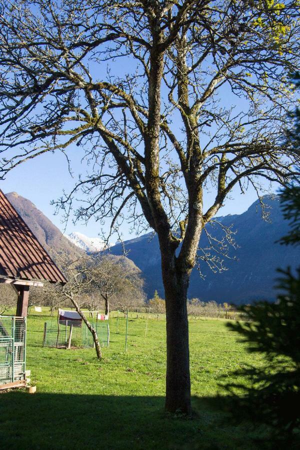 Apartment Mavrica Bovec Bagian luar foto